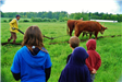 Children Watching Cows Plow Community Garden