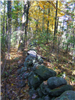 Fence Made of Rocks Sitting in Forest