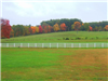 White Fence Dividing Fields With Red and Orange Trees in Background