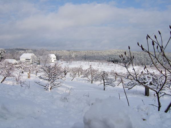 Apple Acre Area With Snow on Ground With White Buildings in Background