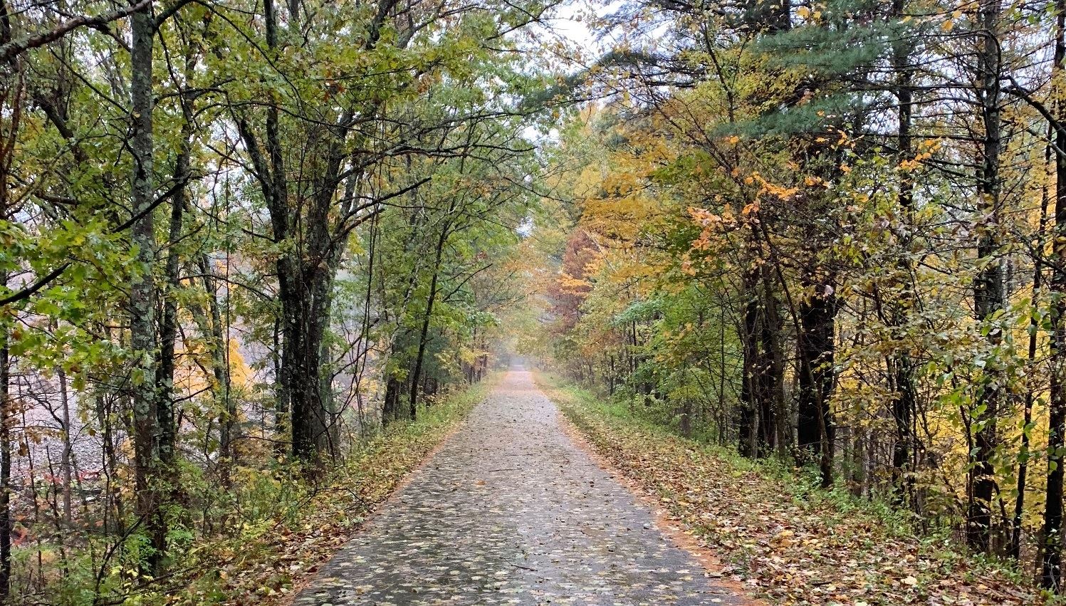 Kim Gallagher, The Rail Trail