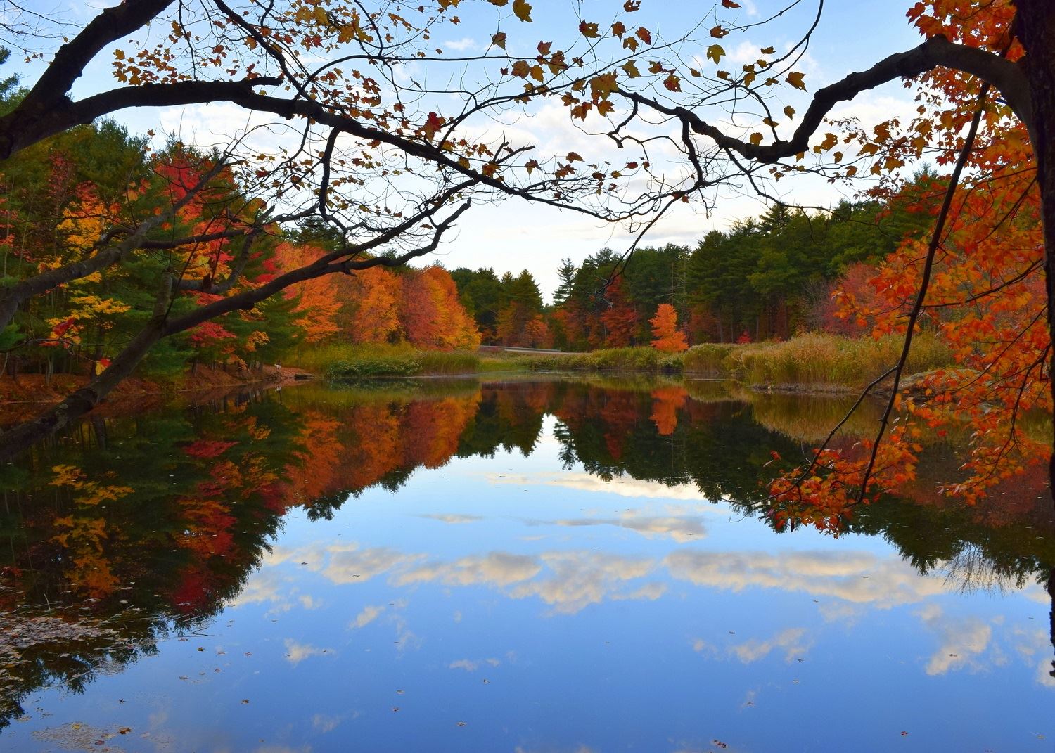 Mark Cantrell, Lake Reflection Fall