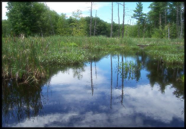 Blue Skies Over Windham