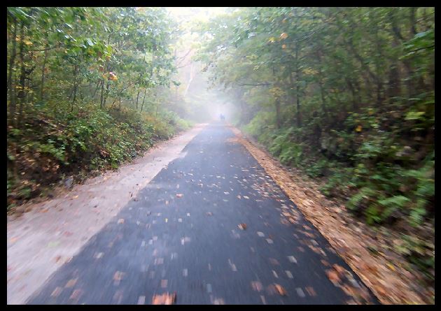 Along the Rail Trail (Credit - Dana Call)