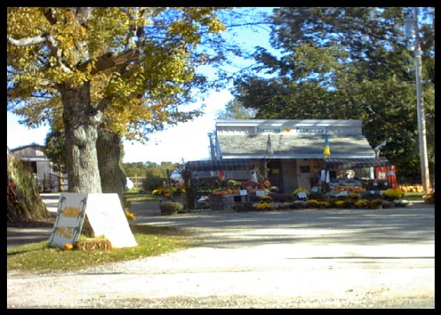 Johnsons Highland View Farm